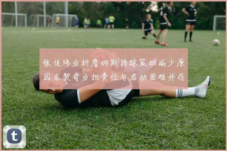 张佳玮分析詹姆斯持球策动减少原因东契奇分担责任与启动困难并存